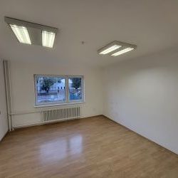 Neuvedený